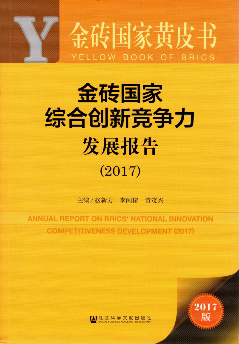 大屌爆插极品白虎视频在线观看金砖国家综合创新竞争力发展报告（2017）